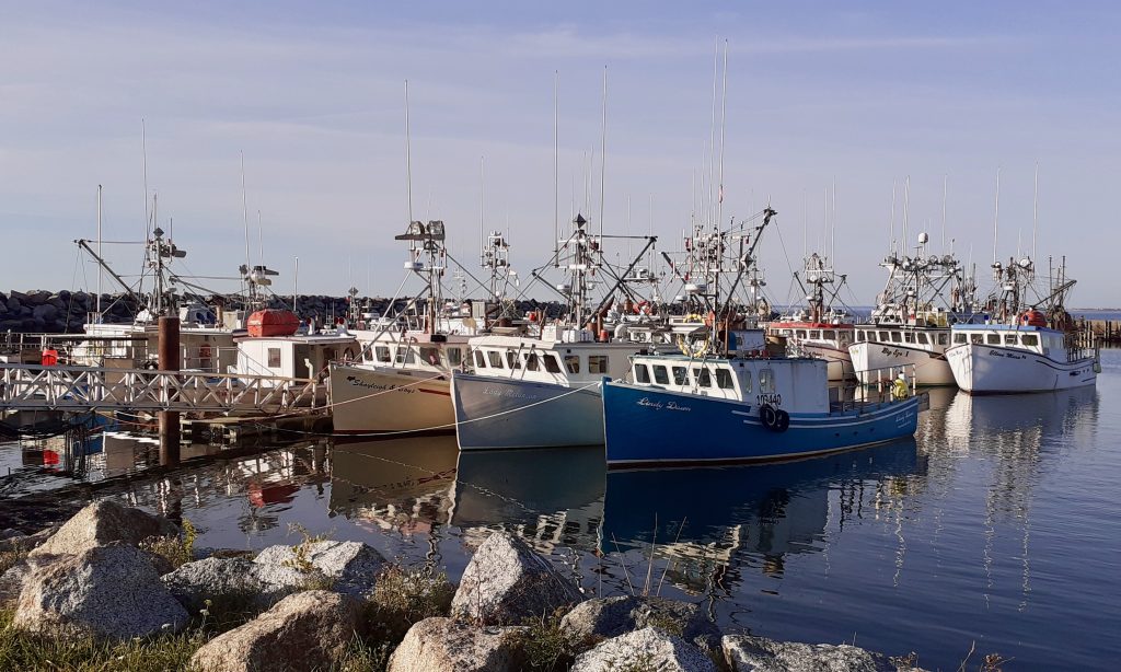 Fishing boats tied up at the wharf in Clare, Nova Scotia